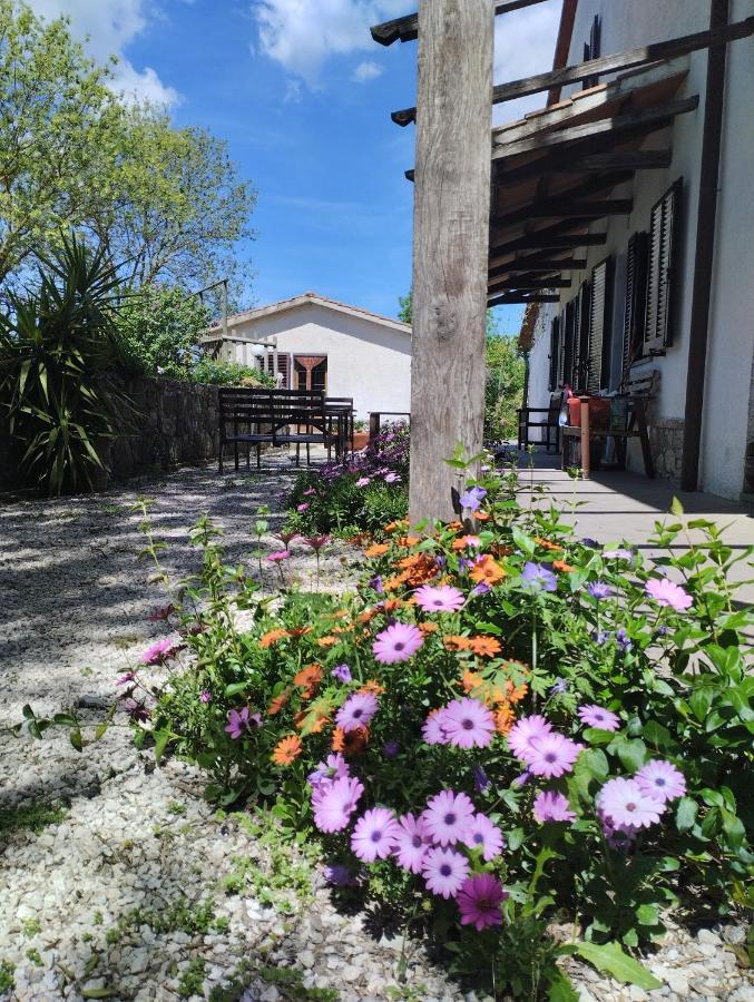 Agriturismo La Locandiera Montemerano Exterior foto